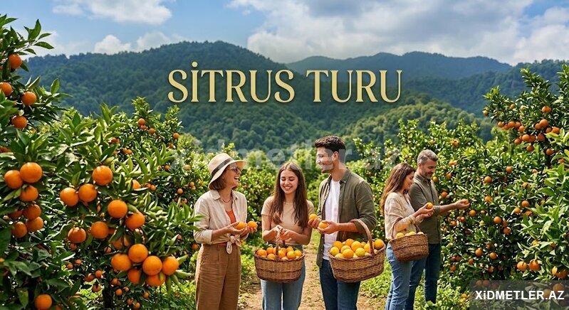 Lənkəran Astara Sitrus Turu Lənkəran Astara Sitrus Turu