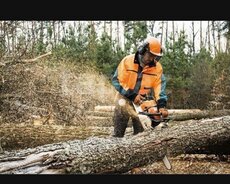 Agac kesmek odun dogramaq isleri