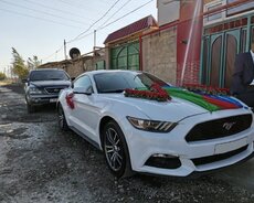 Mustang beygelin maşını