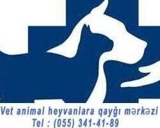 Baytar həkim- (ветеринар)