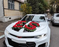 camaro bey gelin toy maşıni sifarişi