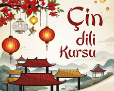 Çin dilində 6 aya danış