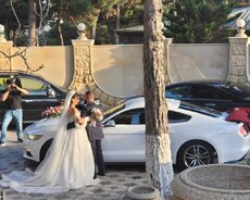 mustang bey gelin toy maşıni sifarişi