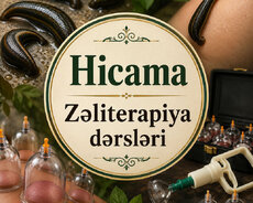 Hicama zəli kursu xanımlar və bəylər üçün