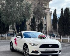 mustang bey gelin toy maşıni sifarişi