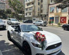 Cabrio Mustang kirayəsi