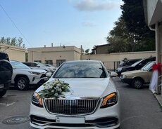 Maybach gelin maşıni kirayəsi