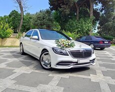 Maybach gelin maşıni kirayəsi