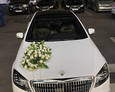 Toy nisan maşıni Maybach kirayəsi