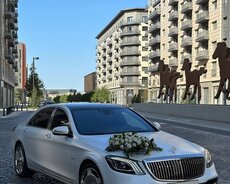 Toy nisan maşıni Maybach kirayəsi