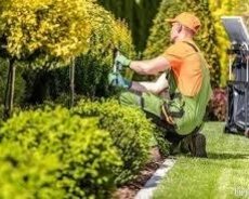 Peşəkar Bağbanlar yalnız bizdə Bağban veririk