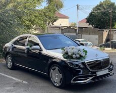 Sclass Maybach kirayə gelin maşıni