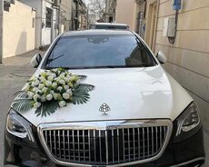 Sclass Maybach kirayə gelin maşıni