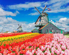 Holland dili (Nederlands)