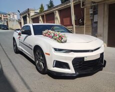 Camaro kirayə gelin maşıni