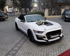 Mustang Cupe kirayə gelin maşıni