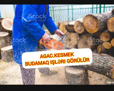 Ağac kəsmək budamaq işləri görülür