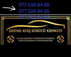 Ayiq sürücü Brend 84 85