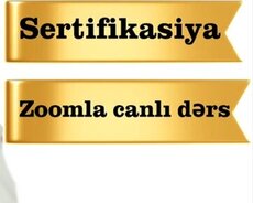 Təsviri incəsənət Miq Sertifikasiya hazırlığı