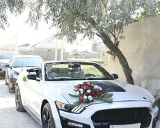 Ford Mustang bey gelin maşın kirayəsi