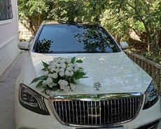 Maybach Sclass bey gelin maşıni icarəsi
