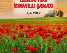 Lalələr İsmayıllı Şamaxı turu