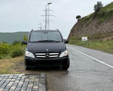 Vita Sifarişi Yer Sayı 7