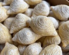 Badambura sifarişi