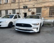 Ford Mustang günlük kirayə