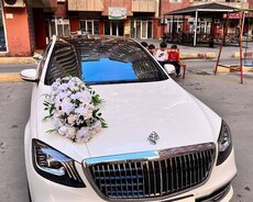 Maybach Sclass kirayə bey gelin maşıni