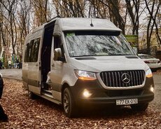 Her növ avtobusların təşkili