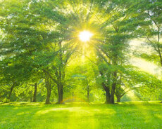 Azərbaycan, ingilis və rus dillərindən tərcümə