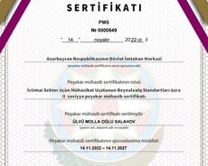 Peşəkar Mühasib xidmətləri