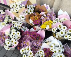 Toy ici xinalarin tewkili bizde ❤️