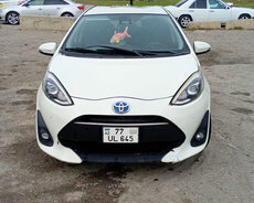 Qalmag şerti ilə arendya