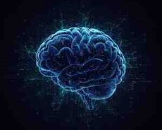 Süni intellekt proqramlarının hazırlanması