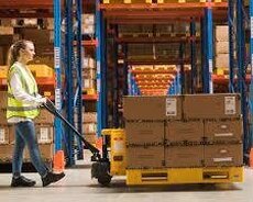 Transpalet satışı