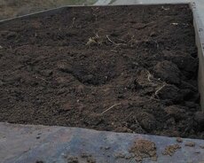 Qara torpağ peyin istənilən ünvana