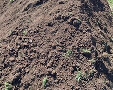 Qara torpağ peyin istənilən ünvana çatdırılma var ətraflı mə