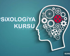 Psixologiya Kursu Müəllimlər