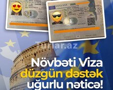 Professional Viza dəstəyi