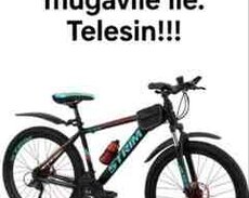 Velosiped icarəsi