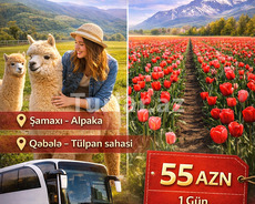 Şamaxı tur paket