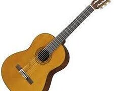 Gitara kursları