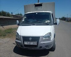 qazel bartavoy icarə