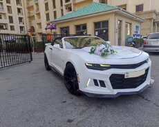 Camaro gelin maşın icarəsi