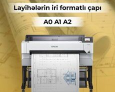 Layihe caplari